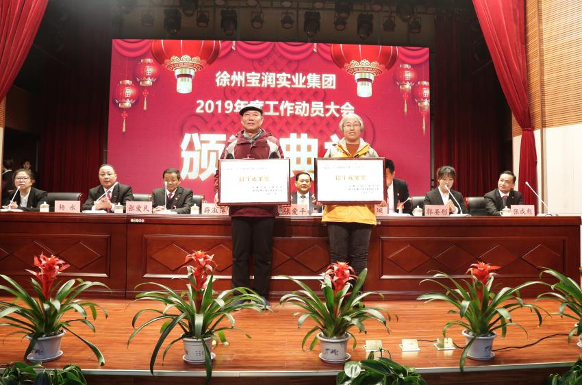 开云·kaiyun(中国)·web版登录入口2019年度工作动员大会---集团公司领导为先进单位和先进个人代表颁奖